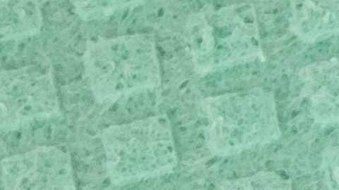 Los paños, esponjas y trapos de cocina son un foco de bacterias y microbios.