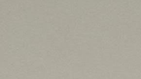 "Entre Sueños, circos pájaros y ardillas" son 36 relatos cortos.