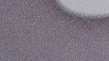 Varios famosos rindieron homenaje a Verónica Echegui a través de emotivos mensajes.