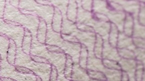 Estos son los dos países cuyos solicitantes de visa deberán pagar $15,000 dólares a EE.UU.