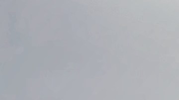 walmart-violacion-de-datos-demanda