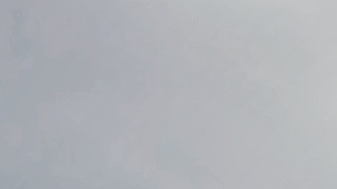 walmart-violacion-de-datos-demanda