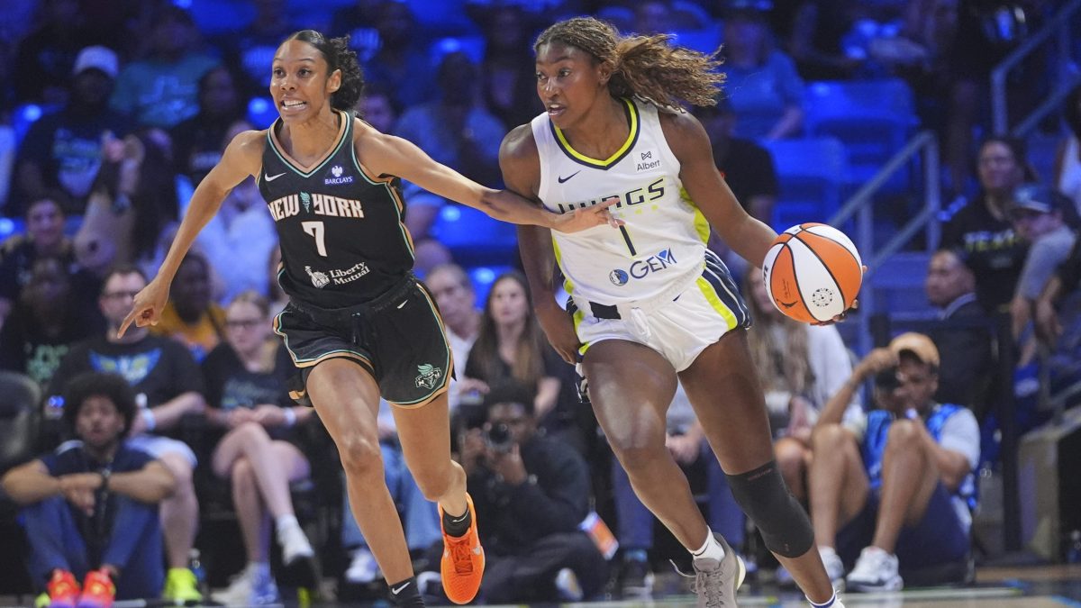 Sujeto fue arrestado en Nueva York por lanzar juguete sexual en partido de la WNBA