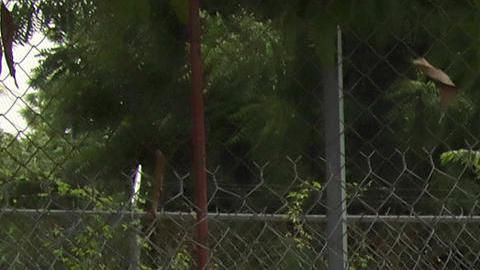 Migrantes reciben atención médica en la ciudad de Tapachula.