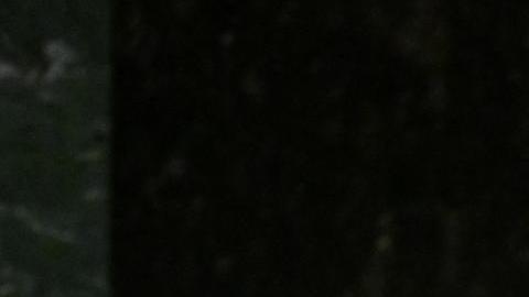 Fueron 20 puntos en total para lograr el plan de paz.
