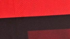 Max Verstappen tras ganar el Gran Premio de Italia.