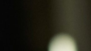 La Administración Adams dedica espacio para celebrar a las principales comunidades hispanas de la Gran Manzana.