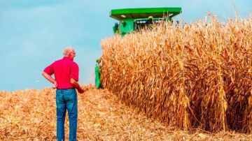 Los productores enfrentan dificultades este año debido a las tensiones económicas con China.