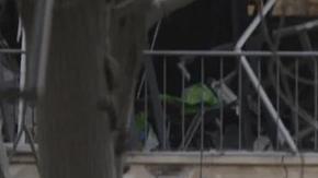 La ONG dice que alrededor de 30 civiles murieron durante los ataques.