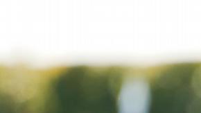 "Estaré allí si me quieren", respondió Donald Trump al ser cuestionado sobre la reunión.