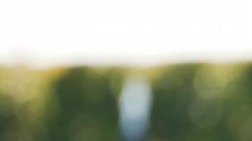 "Estaré allí si me quieren", respondió Donald Trump al ser cuestionado sobre la reunión.