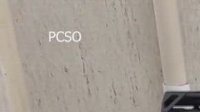 Se recuperaron 23 armas de fuego en la casa del joven.