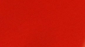 Erika Kirk recibió la ovación de las personas después de su discurso en el homenaje a su esposo.