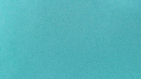 "La Reserva Federal, debe ser completamente independiente de la influencia política", expresó Hassett.