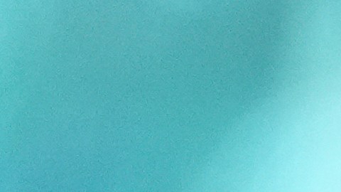 "La Reserva Federal, debe ser completamente independiente de la influencia política", expresó Hassett.