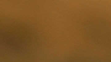 Presentaron información contradictoria y que no pudieron comprobar.