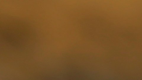 Presentaron información contradictoria y que no pudieron comprobar.