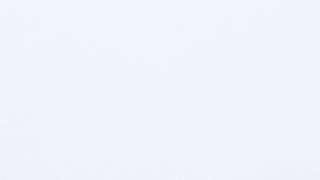 La placa de las estatuas tienen inscripciones irónicas que aluden a la supuesta cercanía entre Trump y Epstein.