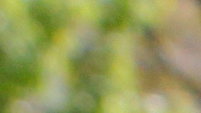 FILE - In this Sept. 17, 2009 file photo, Najibullah Zazi arrives at the federal building for questioning by the FBI in Denver. As the Obama administration defended its widespread collection of phone records, a senior U.S. intelligence official said Friday that the program helped disrupt a 2009 plot to bomb the New York City subways. Zazi, an Afghan-American, pleaded guilty in the 2009 plot, saying he had been recruited by al-Qaida in Pakistan. (AP Photo/Ed Andrieski, File)