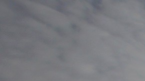 Algunos trabajadores migrantes en agricultura enfrentan abuso laboral.