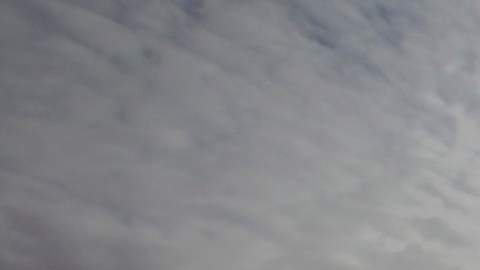 Algunos trabajadores migrantes en agricultura enfrentan abuso laboral.