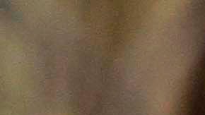 El entrenador había cuidado al tigre desde cachorro.