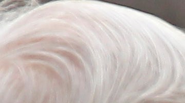 A spray of white roses is loaded into the hearse with the casket of former Penn State coach Joe Paterno after funeral services on the Penn State campus Wednesday, Jan. 25, 2012 in State College, Pa. Paterno died Sunday morning, Jan. 22. (AP Photo/Alex Brandon)