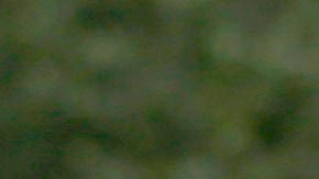 Hasta el momento se está llevando una investigación del caso. Para este domingo no ha habido arrestos al respecto.