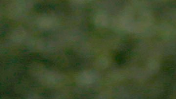 Hasta el momento se está llevando una investigación del caso. Para este domingo no ha habido arrestos al respecto.