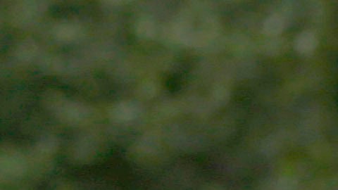 Hasta el momento se está llevando una investigación del caso. Para este domingo no ha habido arrestos al respecto.