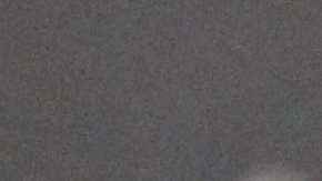 Renuncia al FBI, exjugador de la NFL Charles Tillman, por desacuerdos con la política de inmigración de Trump