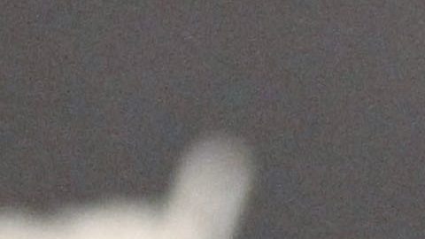 Renuncia al FBI, exjugador de la NFL Charles Tillman, por desacuerdos con la política de inmigración de Trump