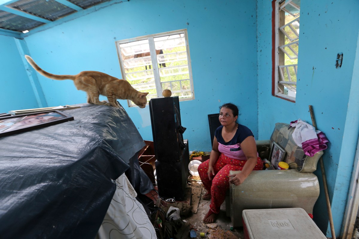Alertan sobre el impacto de reestructuración de FEMA en Puerto Rico: "La letra chiquita va a ser lo más importante"