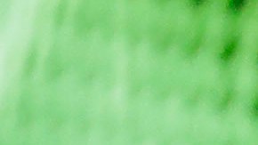 Foto referencial de un agente de ICE capturando a un inmigrante indocumentado.