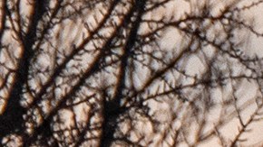 La misiva está dirigida a los Comités de Asignaciones de la Cámara de Representantes y del Senado.