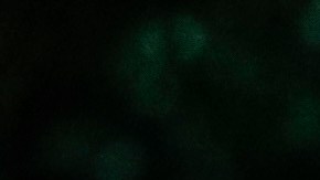 El NYPD indicó que funcionarios del departamento de edificios de la ciudad fueron a ver el edificio en cuestión y lo consideraron seguro luego del choque.