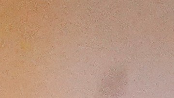 Gobernador de Georgia, Brian Kemp