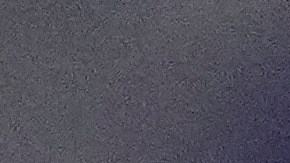 Shakur Stevenson ya no quiere pelear contra Gervonta Davis.