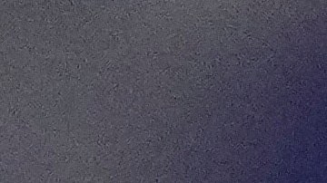 Shakur Stevenson ya no quiere pelear contra Gervonta Davis.