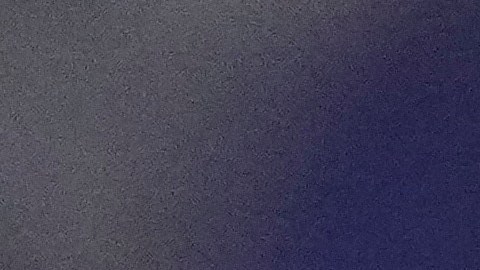 Shakur Stevenson ya no quiere pelear contra Gervonta Davis.