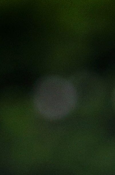 Copa del Mundo. Imagen referencial.