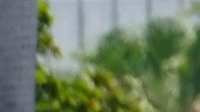 Foto referencial de una bomba de gasolina en Florida.