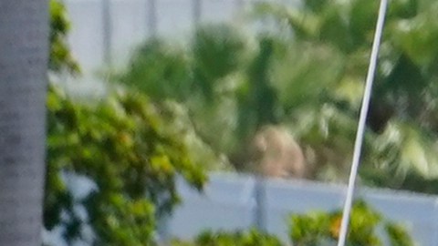 Foto referencial de una bomba de gasolina en Florida.