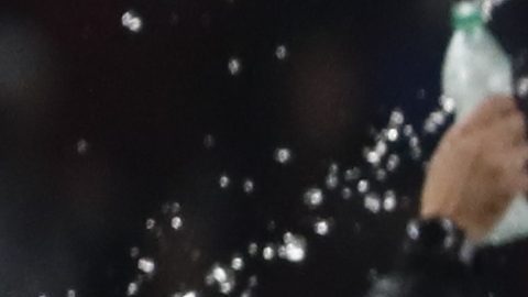 Atlético Goianiense expulsó a seis jugadores por una foto junto a actriz de cine para adultos