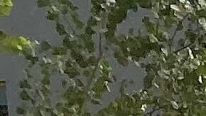 La Oficina del Médico Forense determinará de forma oficial la causa de su muerte.