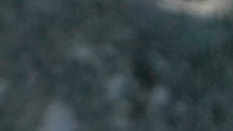 El FBI abrió “investigaciones políticas” a 92 entidades vinculadas al Partido Republicano durante el mandato de Biden.