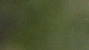 Jugador de fútbol americano de Florida State en estado crítico tras recibir un disparo durante visita familiar