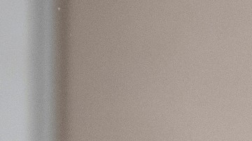 Emerson le dijo a la policía que consumió hongos psicodélicos antes del incidente.