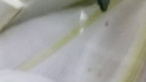 Boxeador ghanés Ernest Akushey murió 11 días después de recibir impresionante nocaut