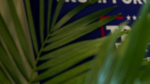Un 26% de latinos que votó por Trump se arrepiente de apoyarlo.